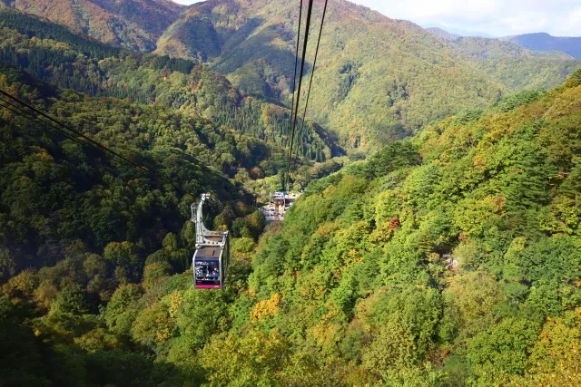 天元台高原のロープウェイの画像