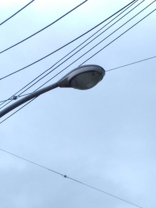丸い形をした高圧水銀ランプをメインで撮影した写真