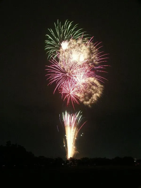 カラフルな打ち上げ花火の画像