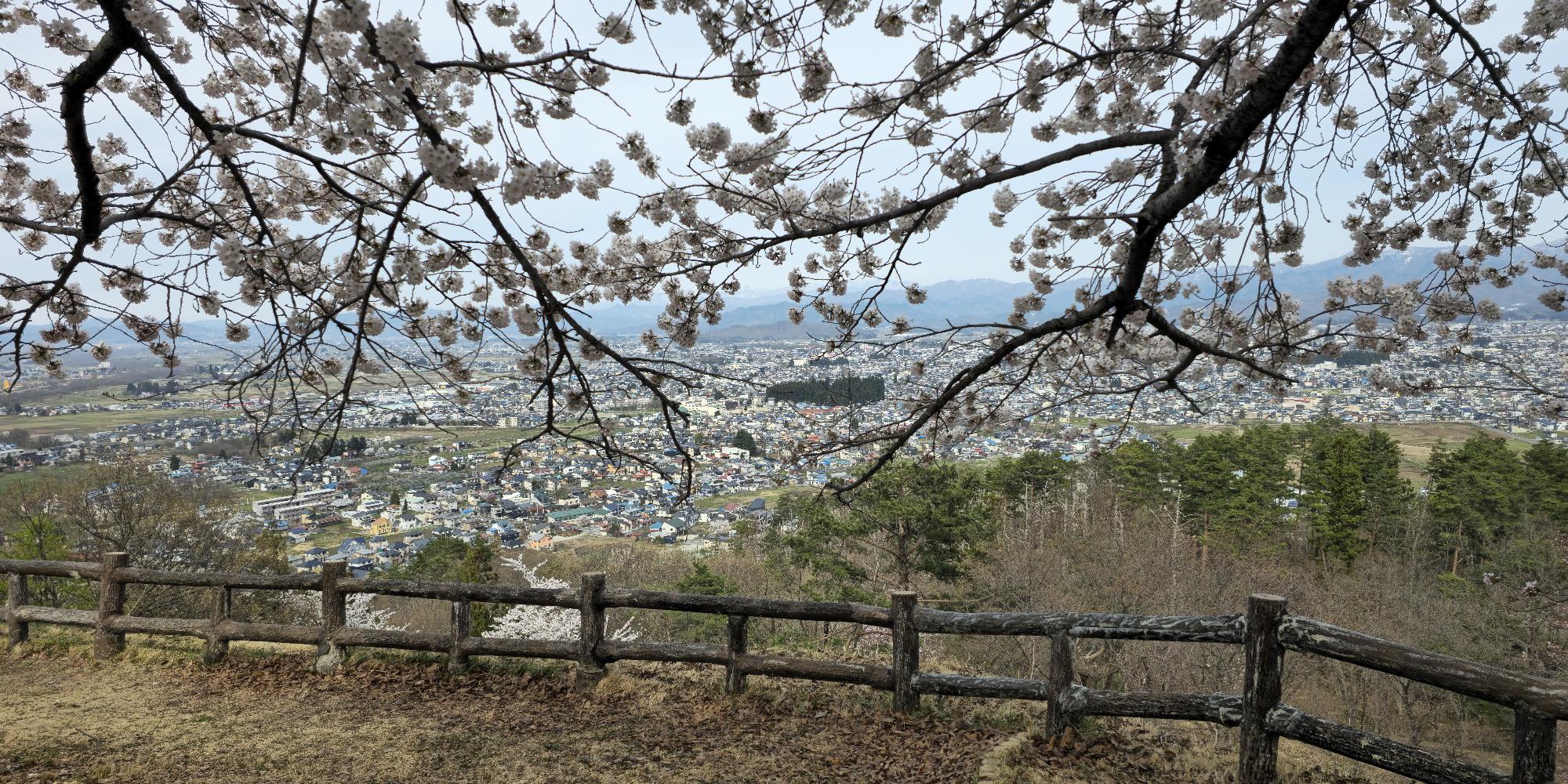 桜と広がるパノラマ風景の写真