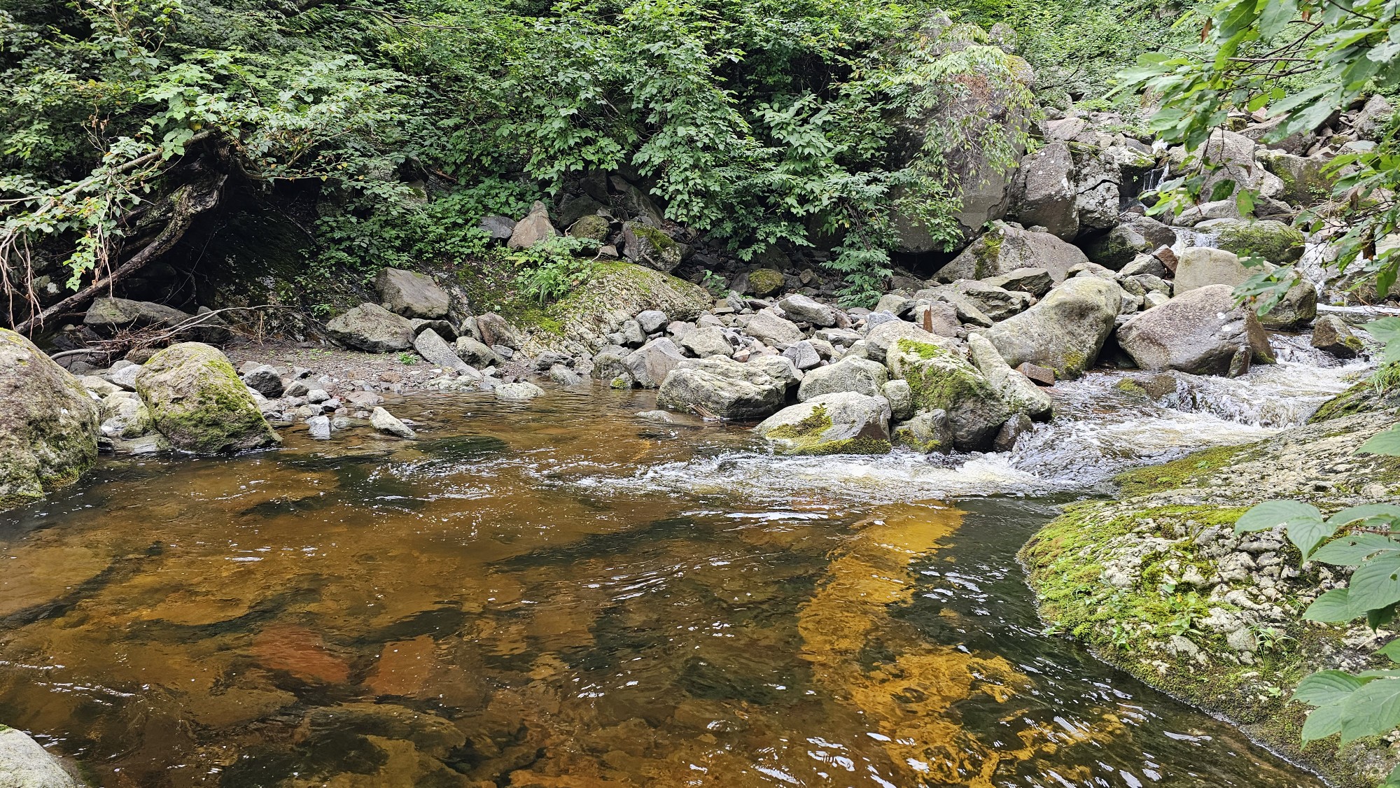 増水した川