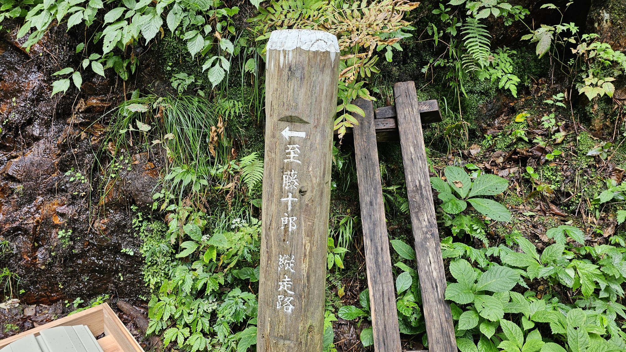 登山道の案内板