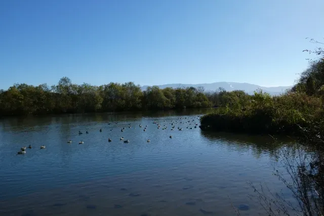 最上川の風景画像
