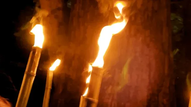 夜の火祭りの画像