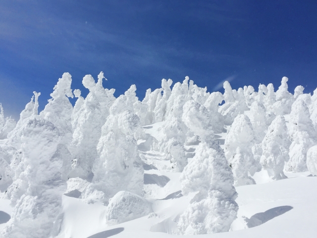 樹氷の画像