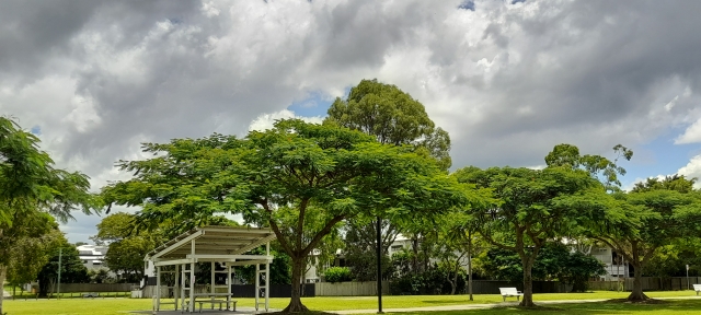 公園の画像