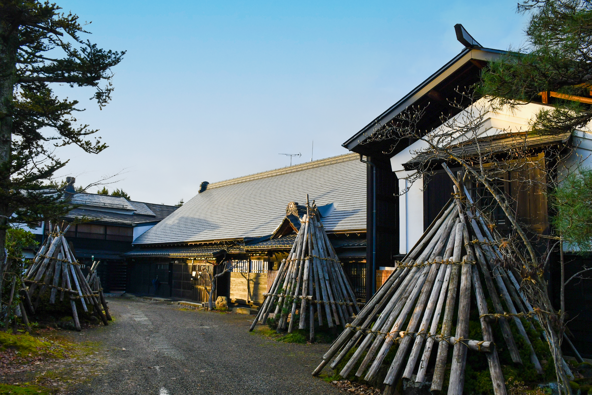 新藤酒造の醸造所