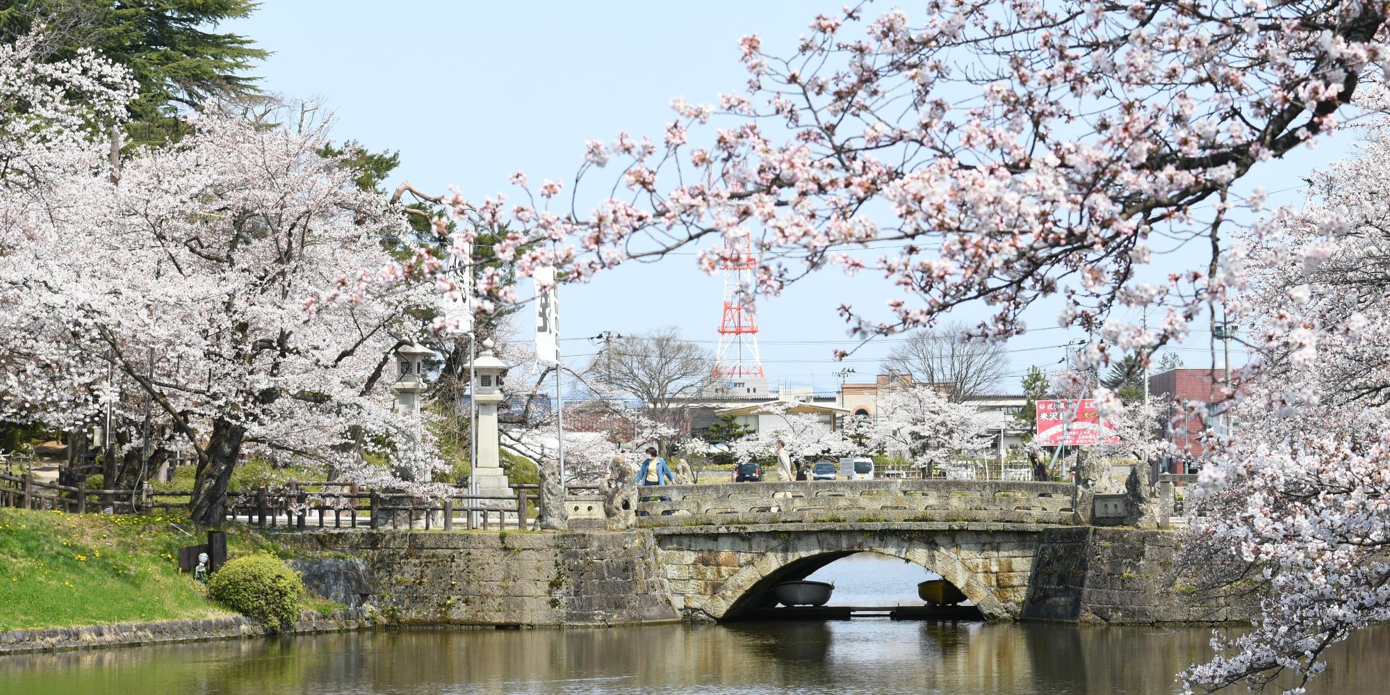 お堀のまわりに咲く満開の桜の写真