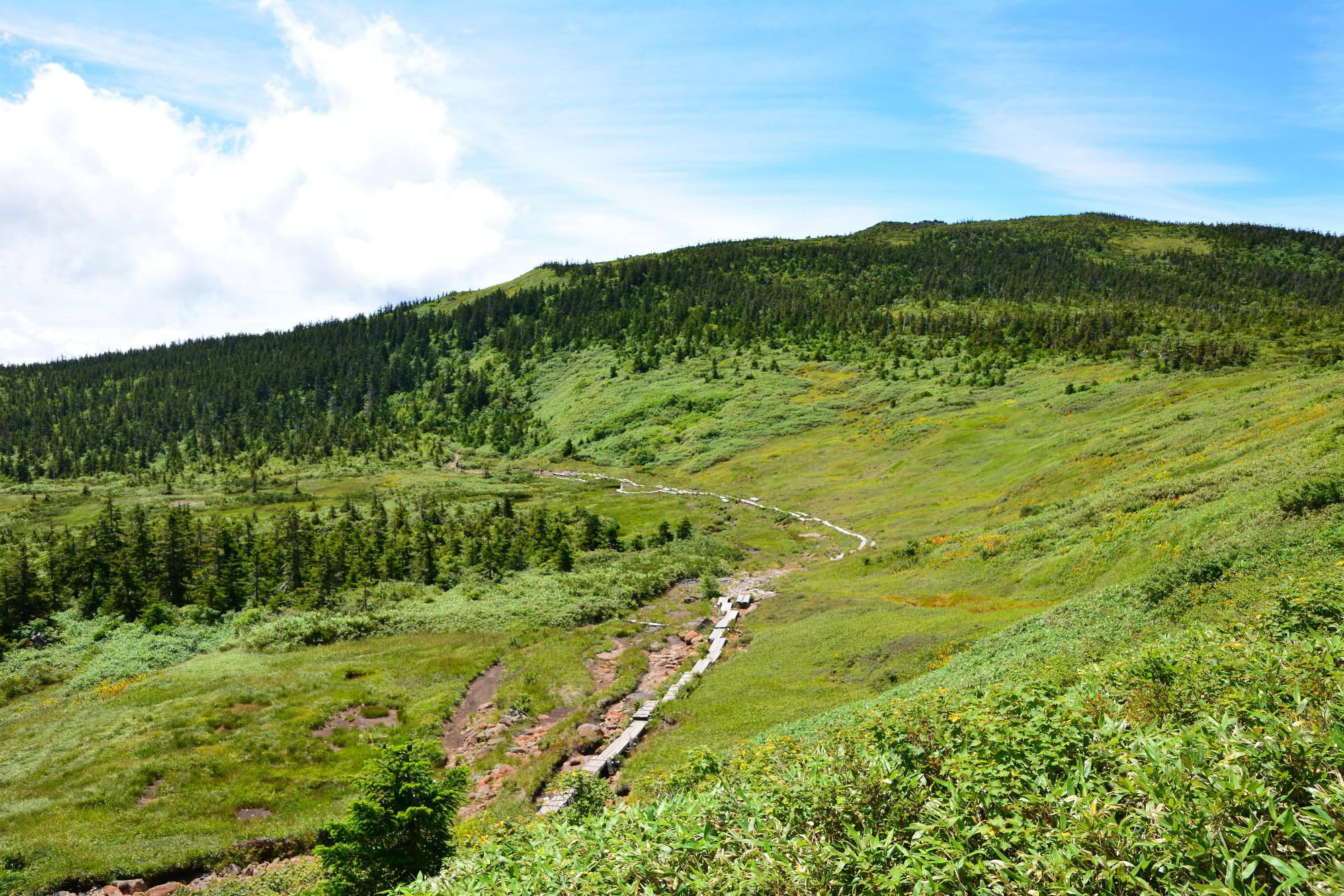 天元台高原の夏山の画像