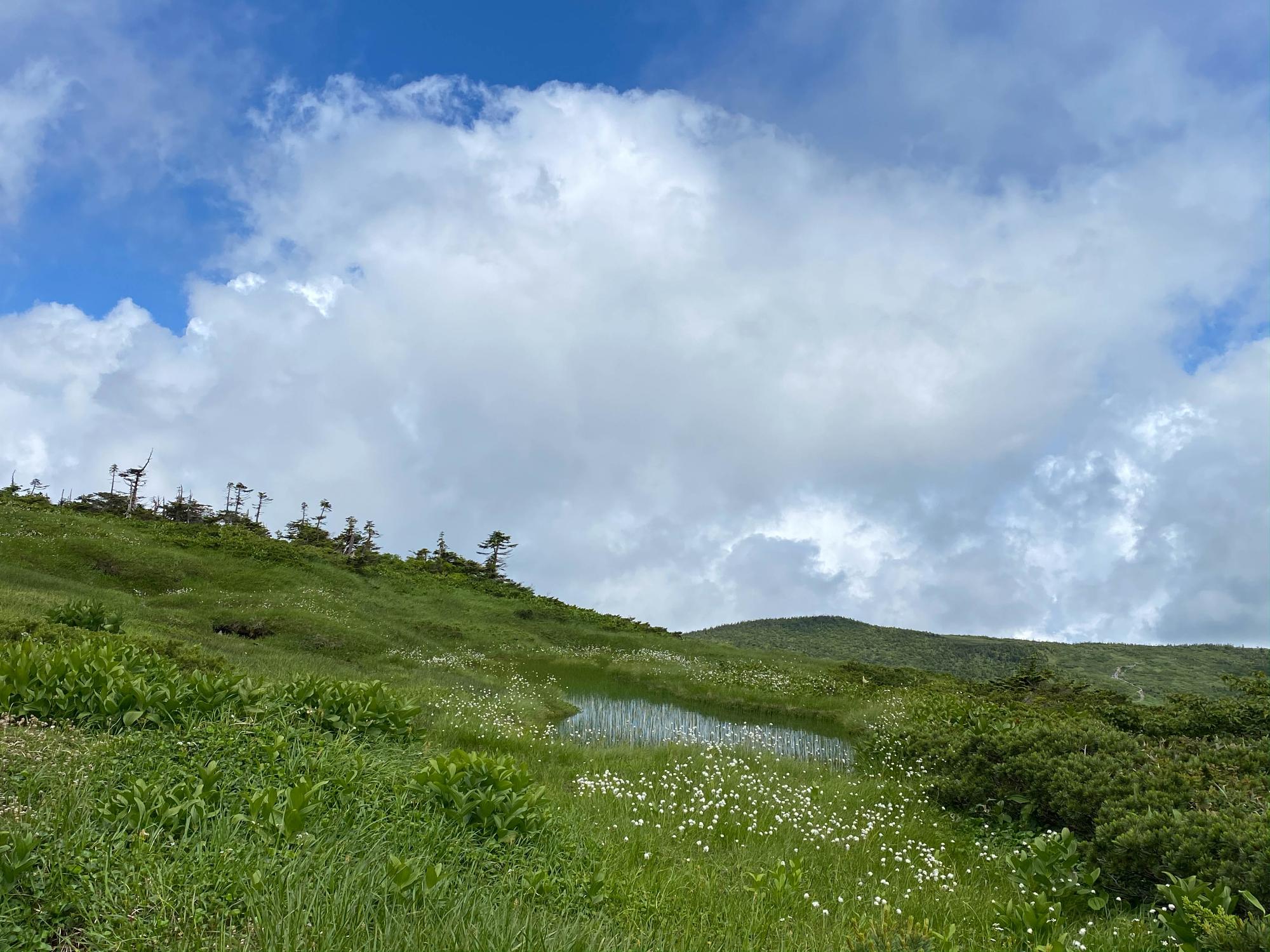 天元台高原と青空が広がる画像