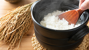 土鍋で炊いたご飯をしゃもじでよそっている様子。土鍋からは湯気が立ち上り、ご飯の白さとツヤが際立っている。左側には稲穂が添えられている。