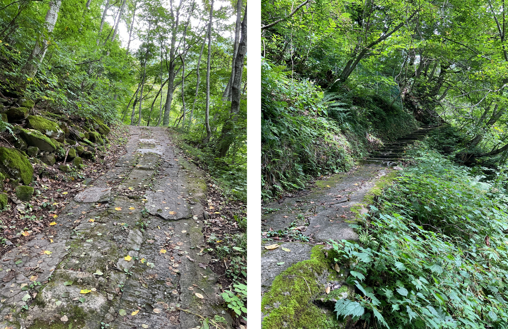 大平温泉からの帰り道