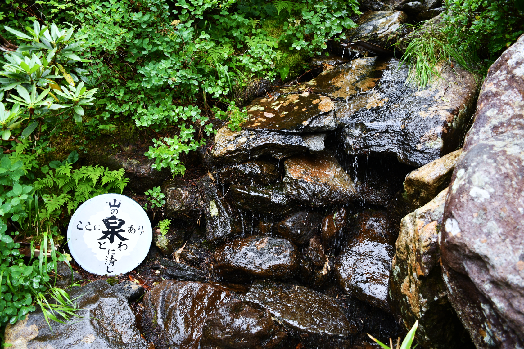 大凹の水場