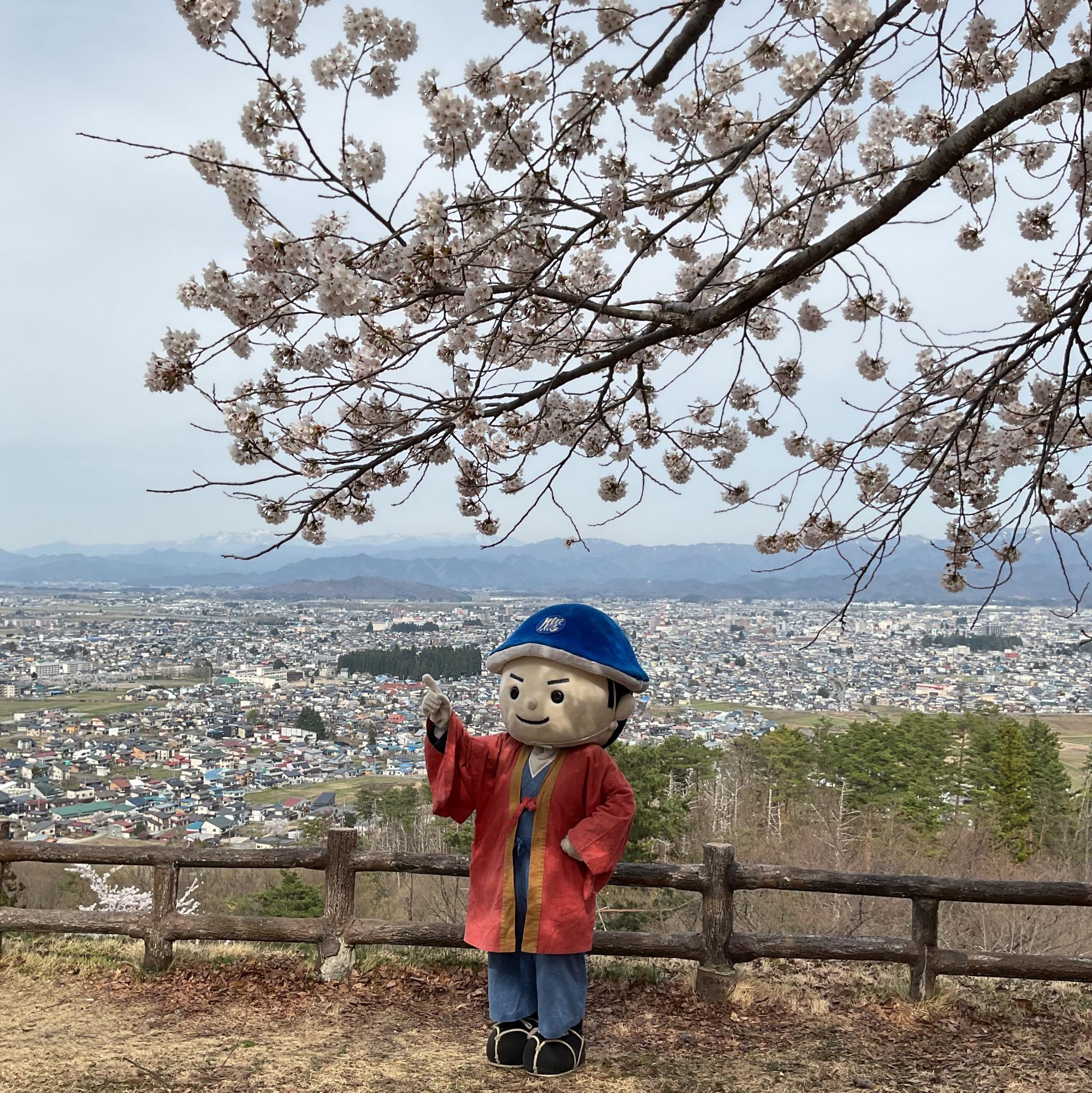米沢の町並みを背景にポーズをきめるキャラクターと桜がいっしょに写る写真
