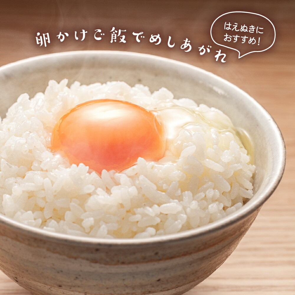 はえぬきの卵かけごはん