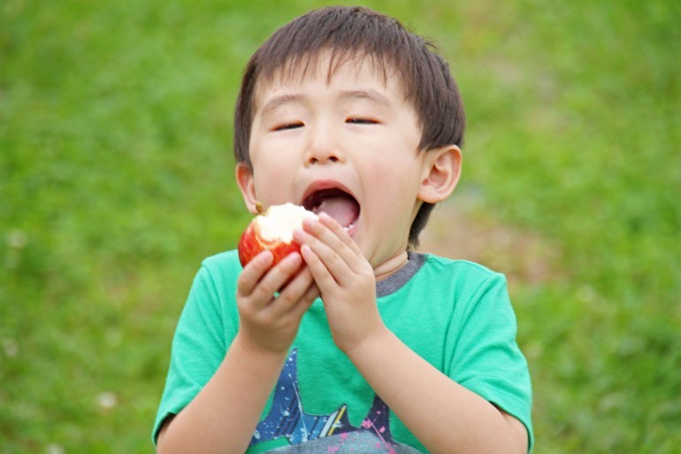 りんごにかぶりつく男の子の画像
