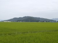 手前に広大な田園風景が広がり、その背景にそびえたつ戸塚山の風景写真