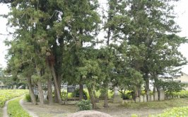 木々が植えられた一角にに石灯篭などが立っている高畠町夏刈にある資福寺跡の写真