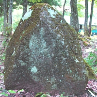 丸みを帯びた石碑が草木が生えている場所に置かれており、石碑の所々にコケが生えている写真