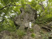 周りに木が生い茂る中、大きな岩に名称が書かれた板のようなものが取り付けられている雲岩を撮った写真
