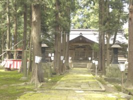 参道の両端には青々とした木々が育ち、木漏れ日が差し込みその奥に成島八幡神社が見える情景写真