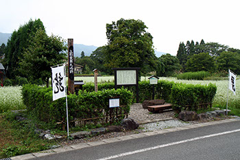 生い茂るソバ畑に囲まれた中央に、白いのぼり旗がや掲示板がある米沢藩主葬礼場跡の写真