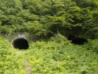 草木が生い茂っているなか、左真ん中奥に大きな隧道が1つあり、右中央奥には雑草で覆われ辛うじて見える隧道が1つある写真
