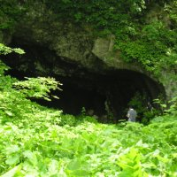 手前には青々とした草が生い茂っており、中央には隧道の為に彫られた土と岩が剝き出しの明治隧道に1人の人が立っている写真