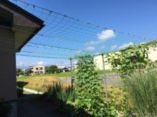 屋根の軒先から少し離れた場所に支柱が間隔をあけて立っており、軒先から支柱までの間にネットが張られている写真