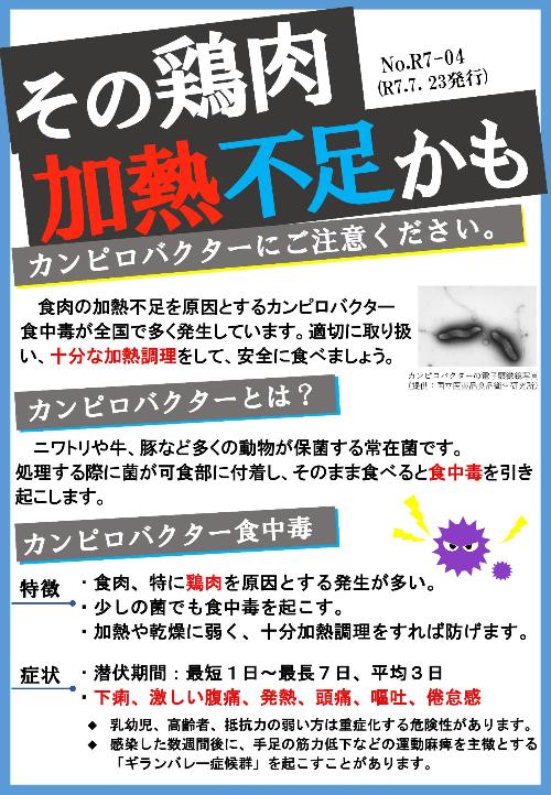 カンピロバクターちらし1
