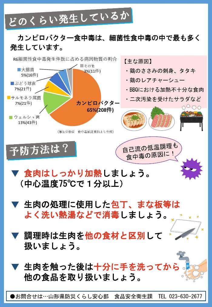 カンピロバクターちらし2