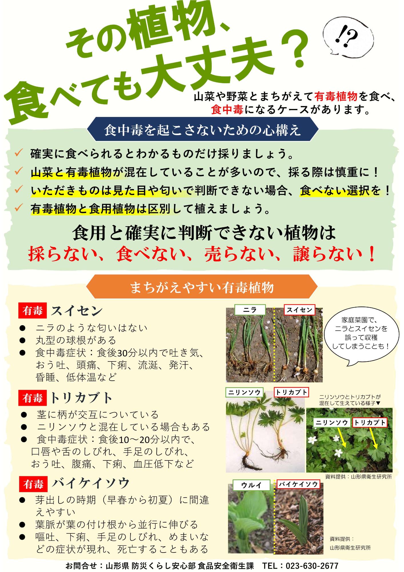 その植物、食べても大丈夫？のチラシ
