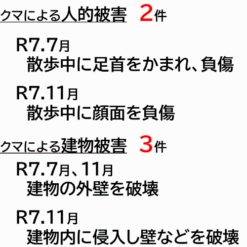 クマ被害件数