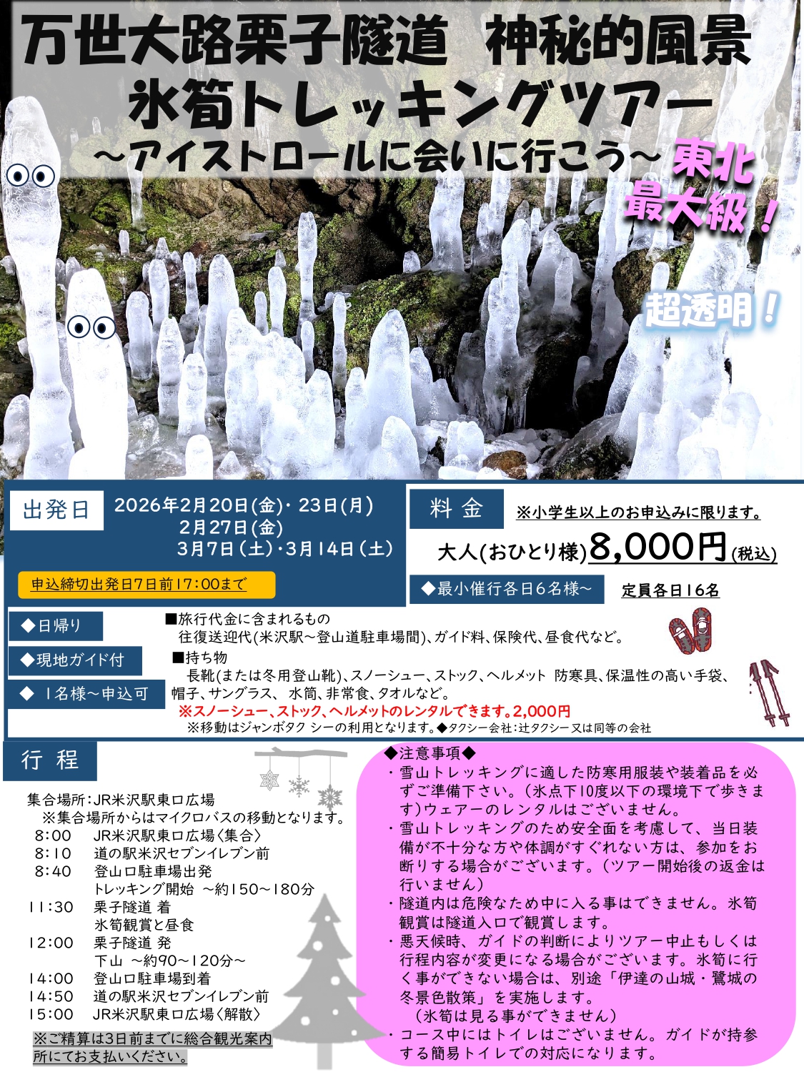 （イメージ）【その他】＜要申込＞神秘の氷筍鑑賞ツアー