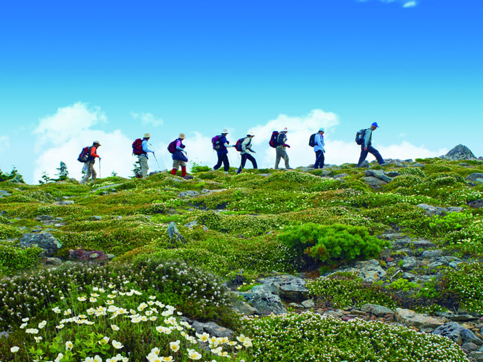 （イメージ）【その他】＜要申込＞天元台高原「お気軽高山植物鑑賞トレッキング」