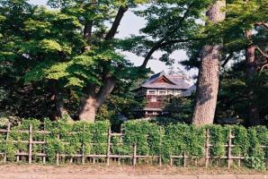 垣根や大木の間から上杉記念館の立派な建物がのぞいている写真