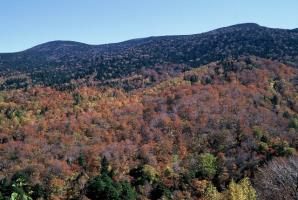 さまざまな色に紅葉している吾妻連峰の山並みを写した風景写真