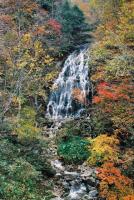 周りに紅葉した樹木が広がっている場所で白布不動滝の水が流れている様子を撮った写真