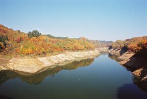 水窪ダムの周りに生える樹木が一斉に紅葉している様子を撮った風景写真