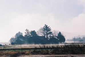田畑から一斉に朝もやが白く立ち込める様子を撮った風景写真