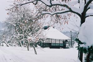 奥には、雪の降り積もった三角屋根の日本家屋があり、手前には雪の重みで枝が下がったみかんの木々の写真