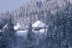 たくさんの木々に囲まれた、白く積もった深い雪の中、大きな三角屋根をした日本家屋が佇む田沢の里の写真