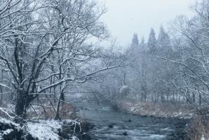 雪が降る中、中央に流れる白天平鬼面川の両岸に、枯草や白い雪が積もった木々が並ぶ写真