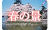 「春の景」松が岬公園本丸跡桜咲く風景の写真（米沢の美しい四季の風景【春】のページへリンク）