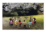 桜の木のそばで手を繋いて円を作っている子どもたちが遊んでいる様子の写真