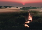 深い霧から顔を覗かせる山々と、手前を流れる川に朝日が反射して光っている写真