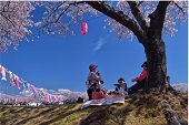 満開になった桜の木の下で、シートを広げてお花見をしている人たちが会話をしている様子の写真