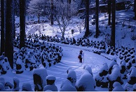 雪をかぶったお地蔵様が両脇にずらりと並んでいる道を、一名の人が歩いていく様子を撮った写真