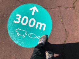 地面に緑色の丸い円の中に牛と魚の絵と「30メートル」と上矢印が書かれてある印の写真