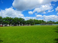 大空の下、芝生や木々が青々と広がる北村公園の写真